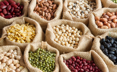 'Join the bean revolution': New campaign calls for switch to more sustainable diets