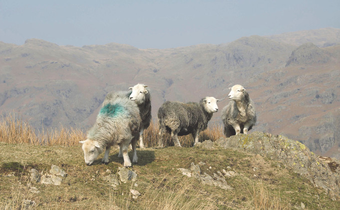 The Lake District in Cumbria