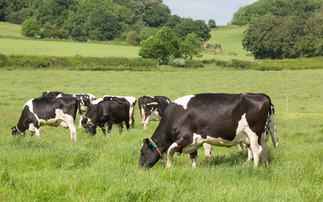 How to combat butterfat depression at turnout
