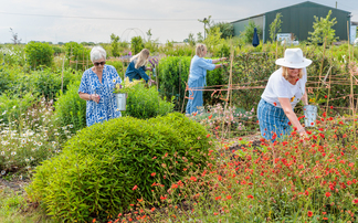 Flowers ensure sustainable future for family farm in Kent