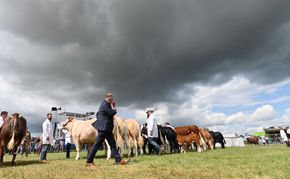 Burke Trophies change venue to support livestock entries through Bluetongue disease