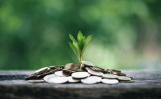 Study: Harmful investments outpace nature protection by 30 to one 