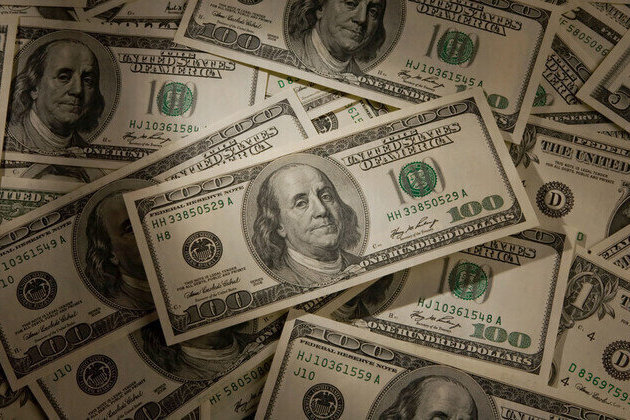 US dollars global role at risk  German regulator