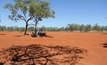  The site of Thunderbird's accomodation village.