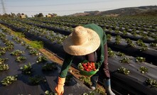 Verde pretende vender 200 mil toneladas de agrominerais em 2019