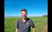  Dr Allan Rattey, InterGrain, says two new oat varieties will provide options to existing varieties Mulgara, Brusher and Wintaroo. Image by InterGrain.