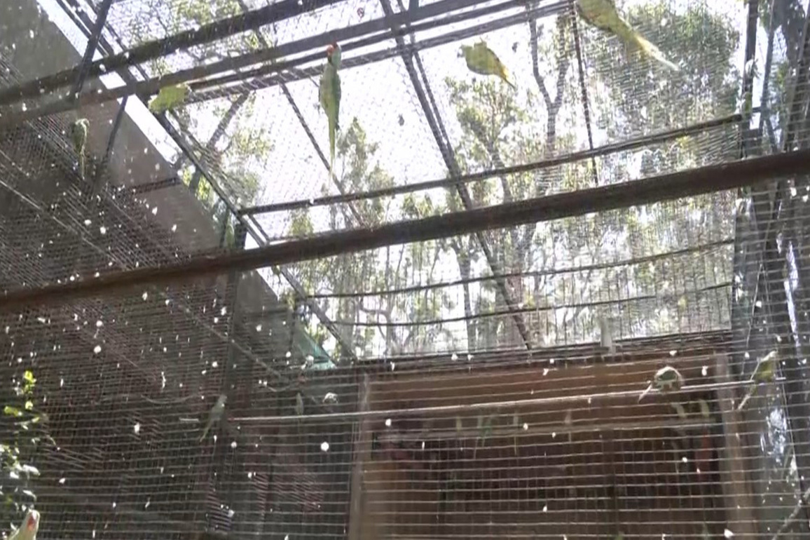 Dehradun Zoo steps up heatwave protection measures for animals amid rising temperatures