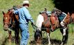 Waiting for the cowboys to ride into town