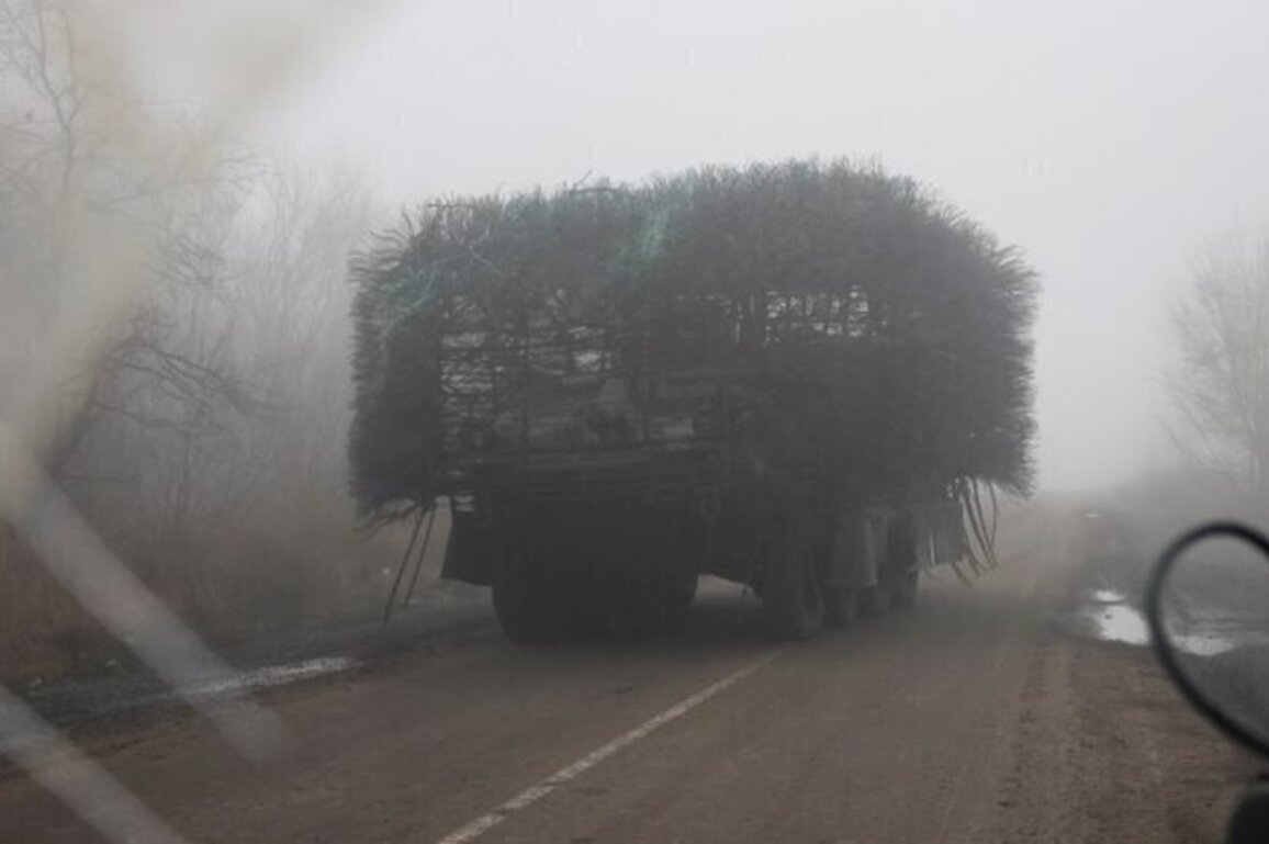 Hedgehogs In The Fog: The Unearthly New Armor Spotted In Ukraine