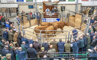 Hexham and Northern Marts puts futureproofing at the forefront 