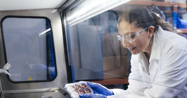 Metals liberating super fungi emerging