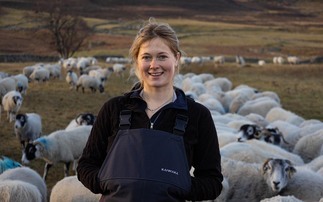 Next Generation Hill Farmers: First gen farmer finds home in the Scottish hills and focuses on genetics 