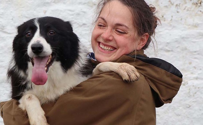 SHEEPDOG SPECIAL: A dog with the 'full package' can make you feel invincible