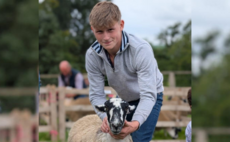 Lamb sold in memory of Cumbrian teenager Will Pedley raises more than £8,000 for charity