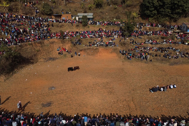 Nepali villagers struggle to keep age old bull-fight tradition alive