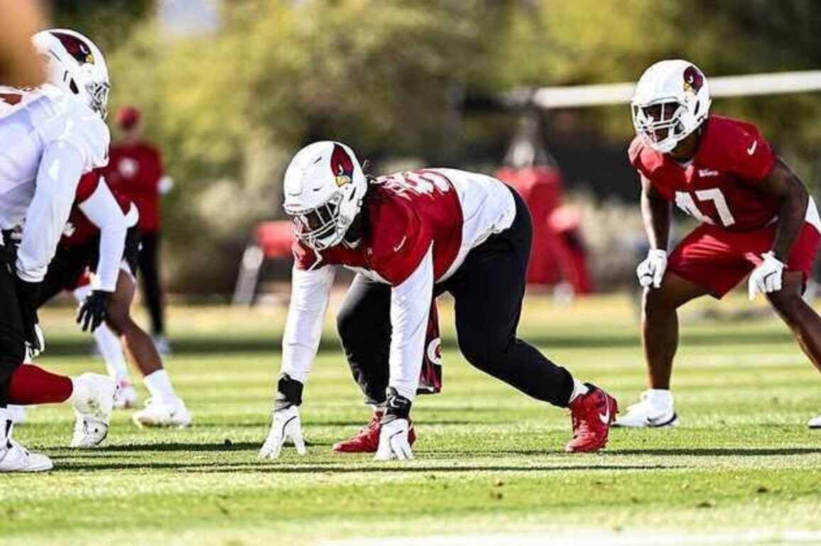 Cardinals Activate L.J. Collier; Add Practice Squad QB
