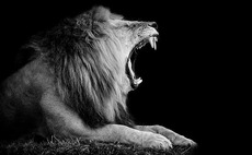 The call of Africa: Stability returns amid strong macro