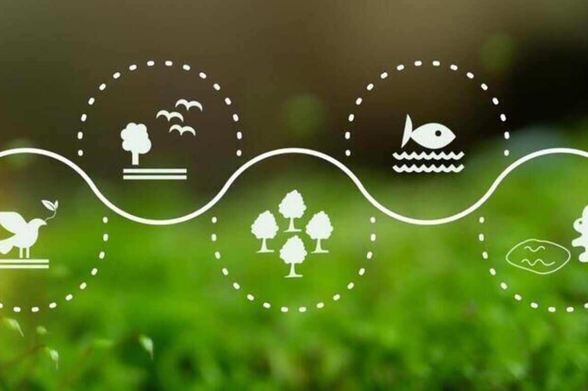 Armenia and ECA mark International Day for Biodiversity with a call for local action and global impact