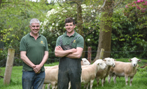 Sheep: Shropshire farmer believes wool shedding sheep hold firm place in post-subsidy systems
