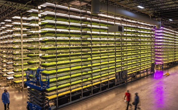 AeroFarms is trying to cultivate the future of vertical farming