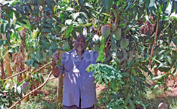 Rev. Can. Ntulume ng’alaga egimu ku miyembe gy’alima. Rev. Can. Ntulume ng’alaga egimu ku miyembe gy’alima.