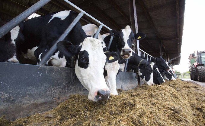 Dairy prices are coming 'close to the floor' say industry insiders