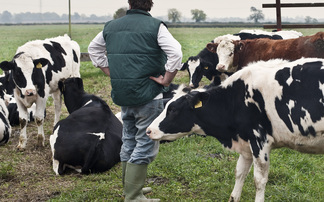 OPINION: Could this final 51AV��ƵAssurance Review report be the one that makes it better for farmers?