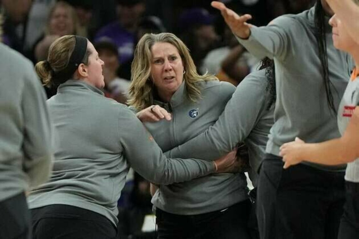 Lynx coach Cheryl Reeve suspended one game for tirade at officials