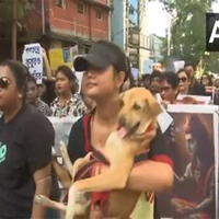 Animal lovers in WB's Siliguri protest against Supreme Court directive on stray dogs, call it "inhuman"