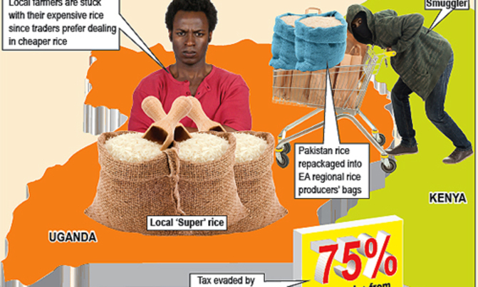 Smuggling stifles local rice farmers Smuggling stifles local rice farmers