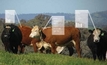 Tech-savvy ways to beef up production