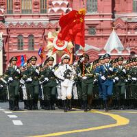 Column: Distorted WWII narrative impedes unity, progress