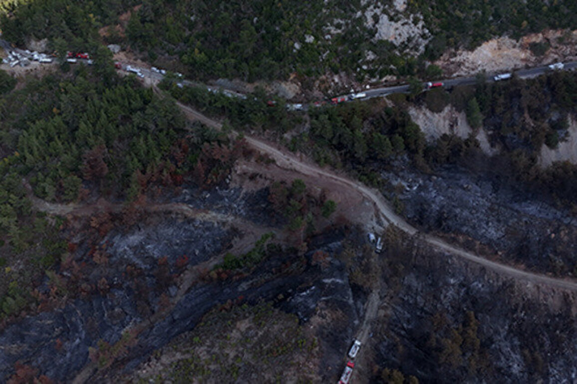 Civil Defense Halts Spread of Fires in Latakia and Hama Countryside