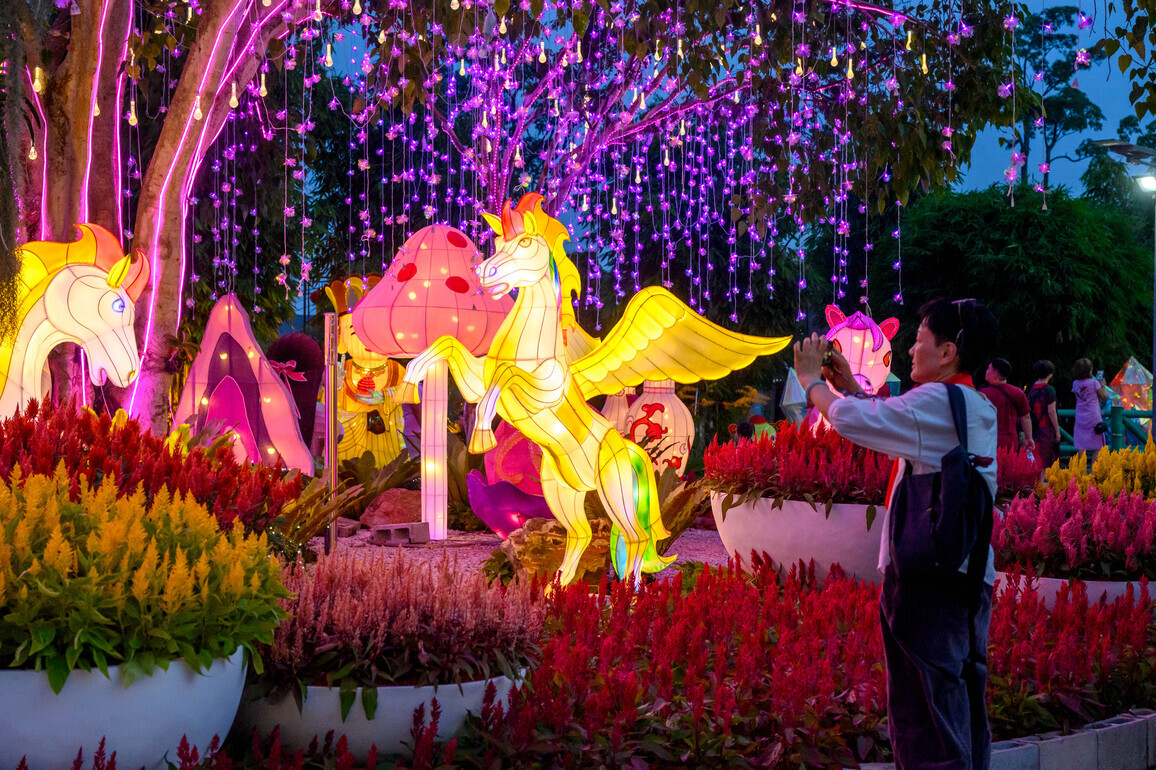 Malaysians eagerly welcome Year of the Horse