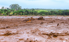 In 2019, mud from the tailings dam in Brumadinho flattened villages and infiltrated the nearby Paraopeba River