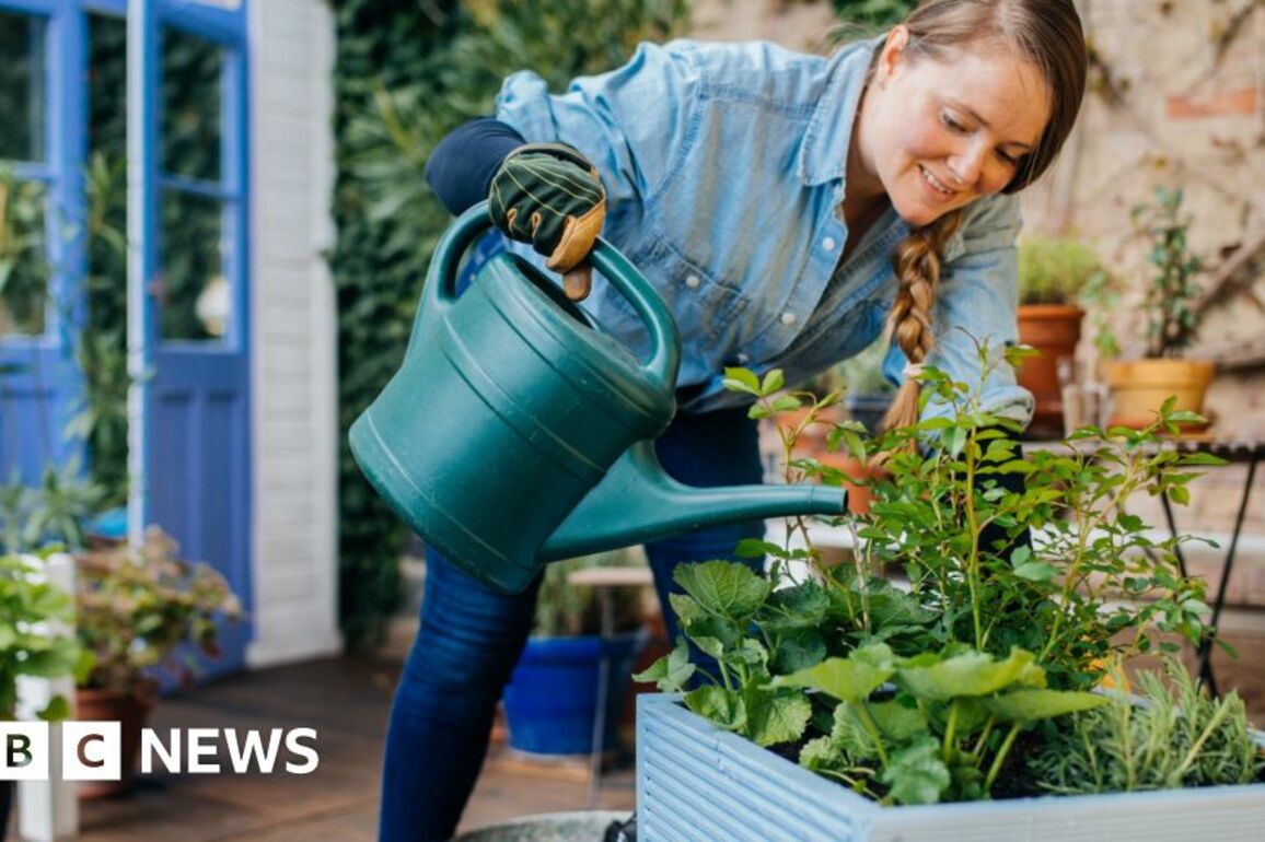 Four ways your plants could be affected by hot spring weather