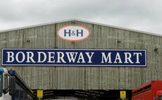 Man and woman arrested after assault at Limousin cattle sale