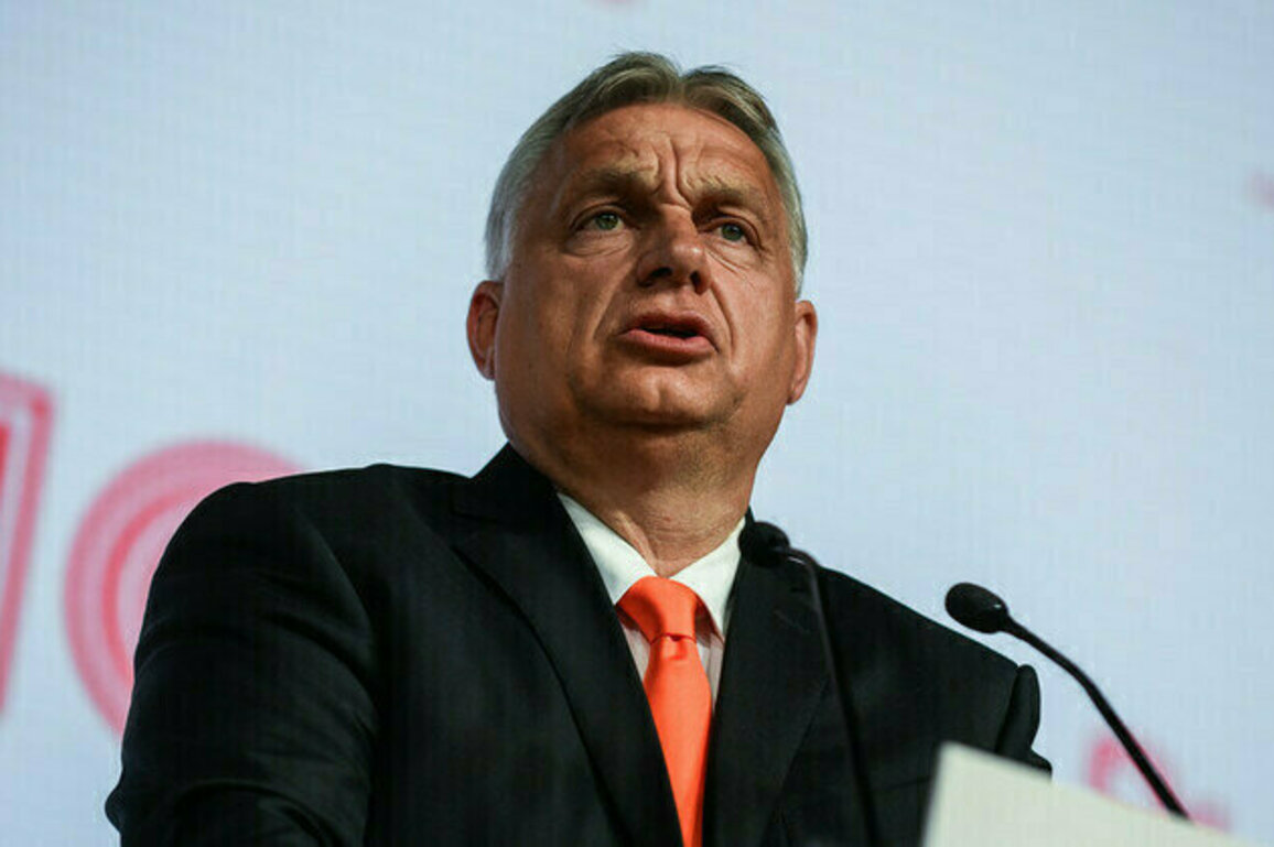 Orban accuses Ukraine of election meddling
