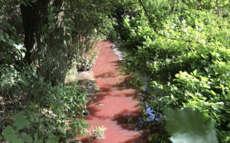 'This incident was preventable': Housing developer Taylor Wimpey fined £300,000 over sewage pollution