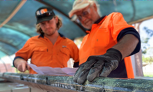  Peel's Wirlong core continues to intersect copper