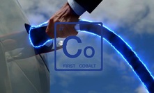 Investors fuel cobalt union