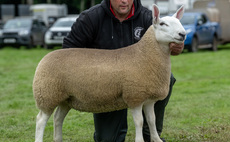 North Country Cheviot takes top spot at Border Union Show 