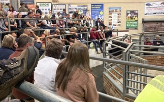 Vaccination urged as bluetongue spread further than official maps show