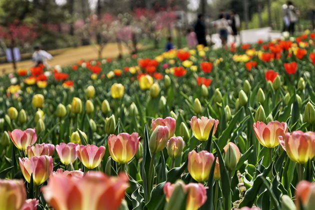 CHINA-QINGMING FESTIVAL-HOLIDAY (CN)