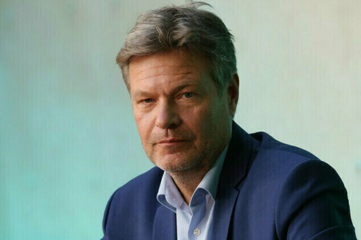 Ex-German vice chancellor warns mainstream dominance could end