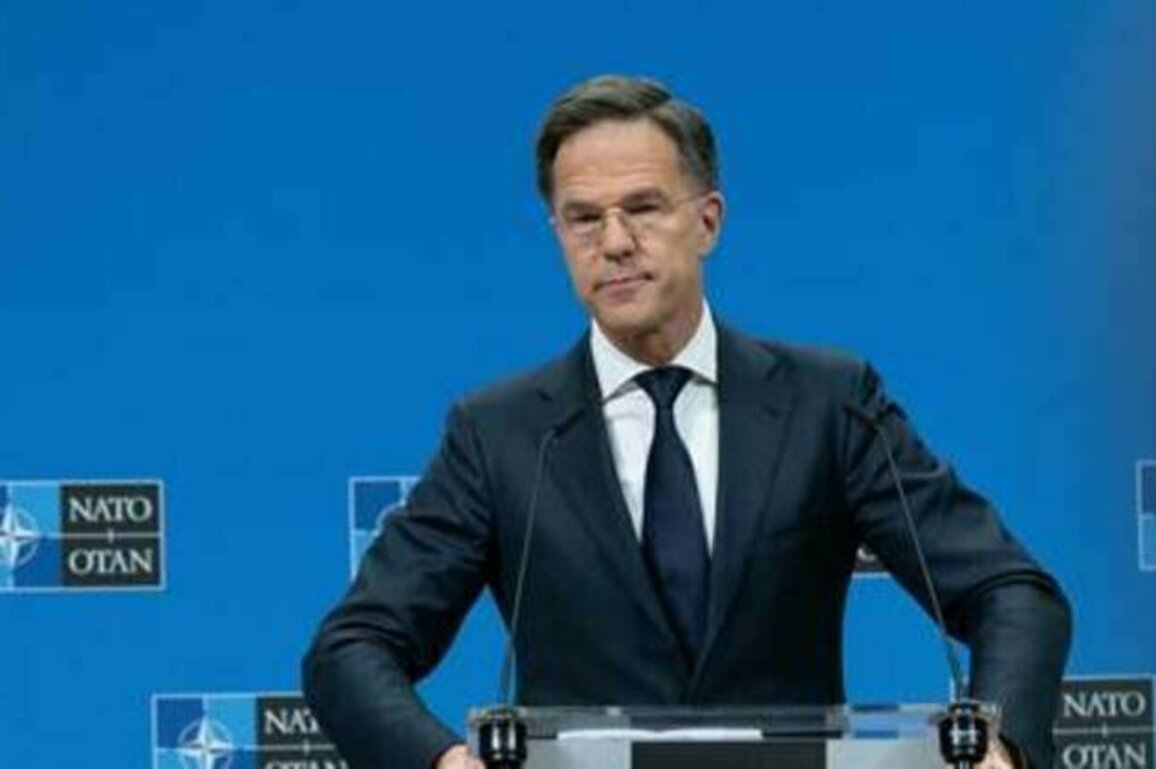 NATO chief fears Trump-Zelensky conflict could derail summit - NYT