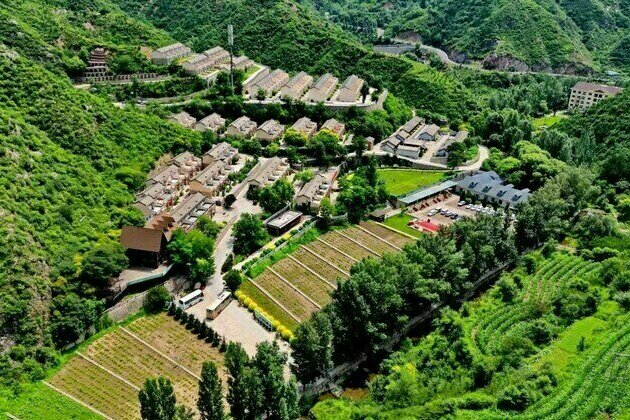 Xinhua Silk Road: N.China's Lingqiu County takes organic agriculture as effective way to promote rural development