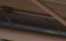 Heavy influence of robots and AI among EuroTier exhibits