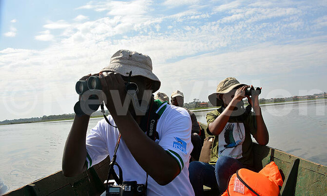 Bird flu: Countrywide surveillance of wild birds Bird flu: Countrywide surveillance of wild birds
