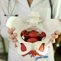 Pelvic floor dysfunction: what every woman should know